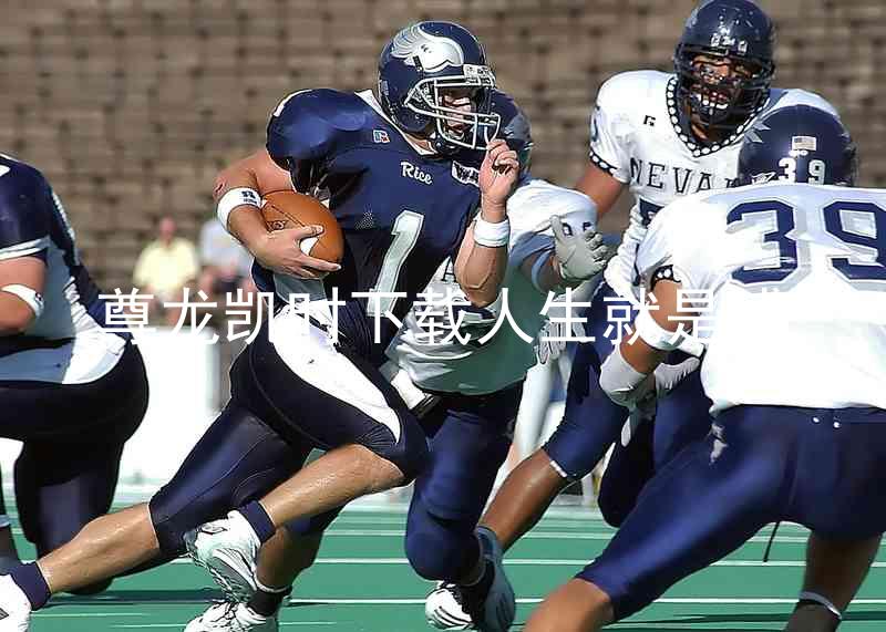 尊龙凯时下载人生就是博