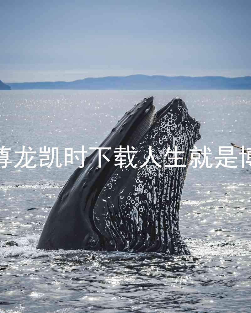 尊龙凯时下载人生就是博