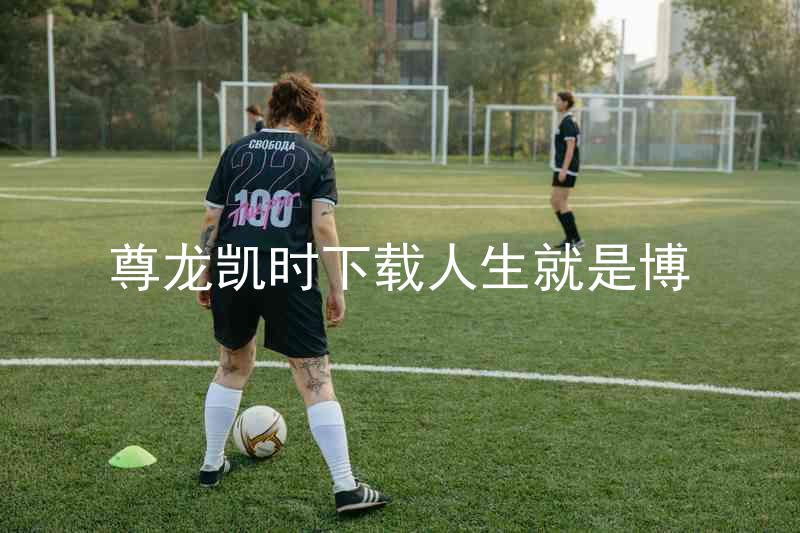 尊龙凯时下载人生就是博