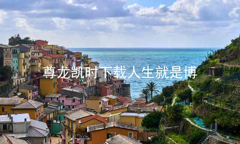 尊龙凯时下载人生就是博